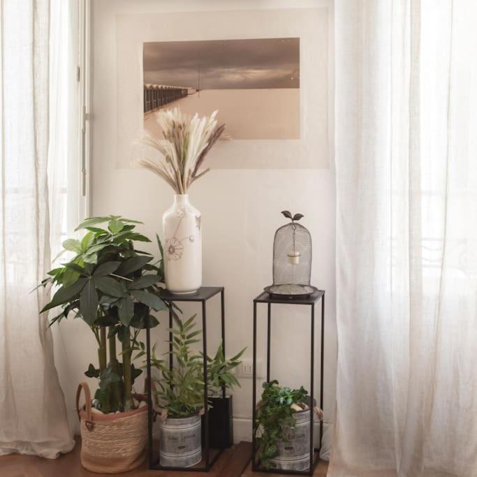 Apartment #41 & Charming 1 Bdr Flat 10mins Walk To *